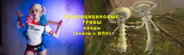 метамфетамин Богородицк