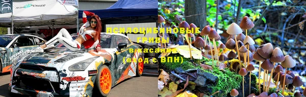 шишки Семёнов