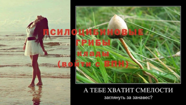 метамфетамин Богородицк